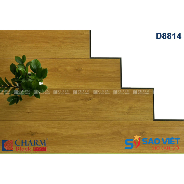 Sàn gỗ Charm Black D8814