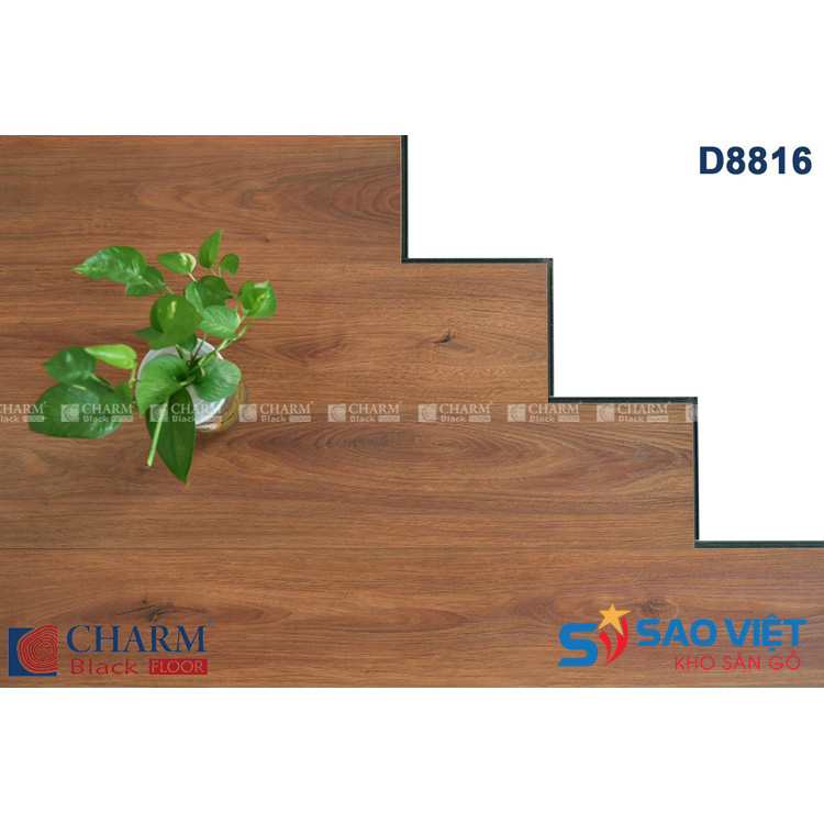 Sàn gỗ Charm Black D8816
